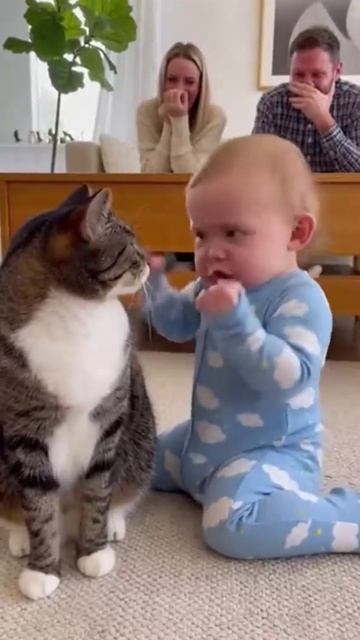 Высказать Коту Все!