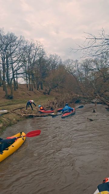 Прокатка дистанции Скитульца 2026. Short