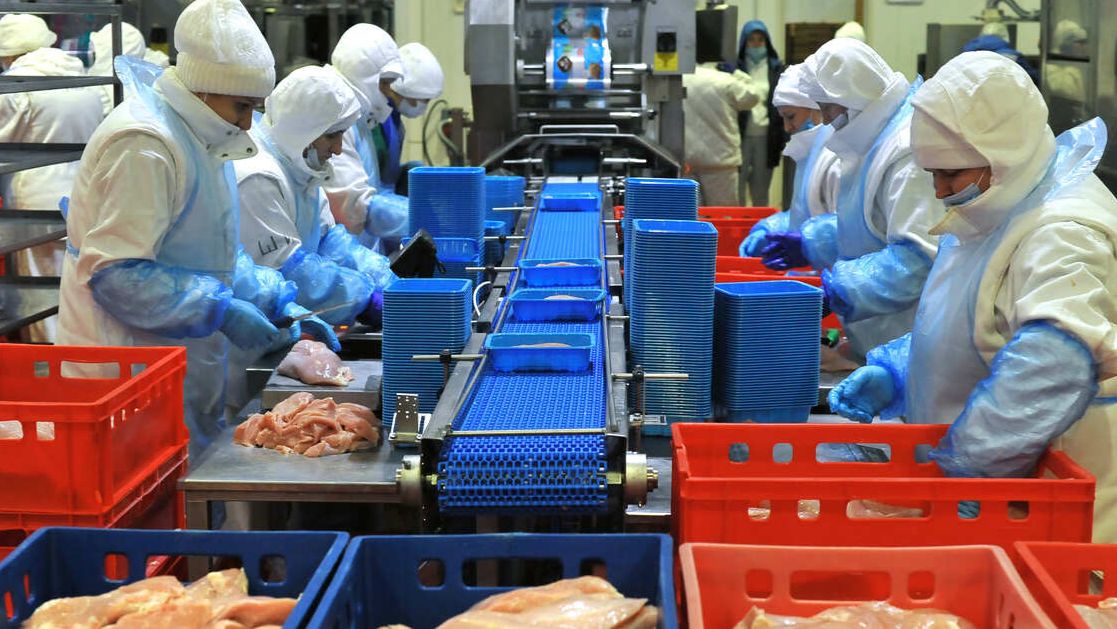 Пензенская индейка завоевала рынки Латинской Америки и Ближнего Востока