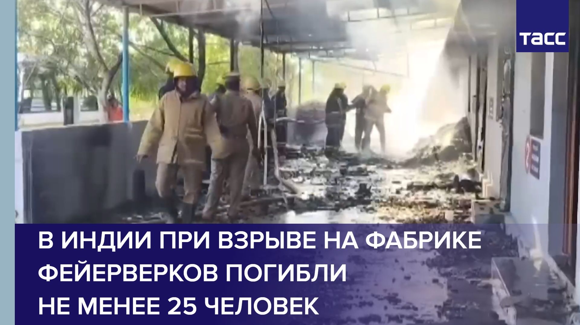 В Индии при взрыве на фабрике фейерверков погибли не менее 25 человек