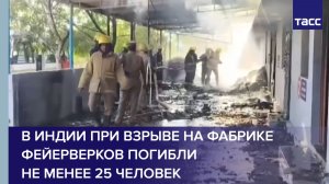 В Индии при взрыве на фабрике фейерверков погибли не менее 25 человек