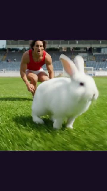#кролик #кроликвсети #кроличьиПриключения #уходзаБаллончиком #фотографииКроликов