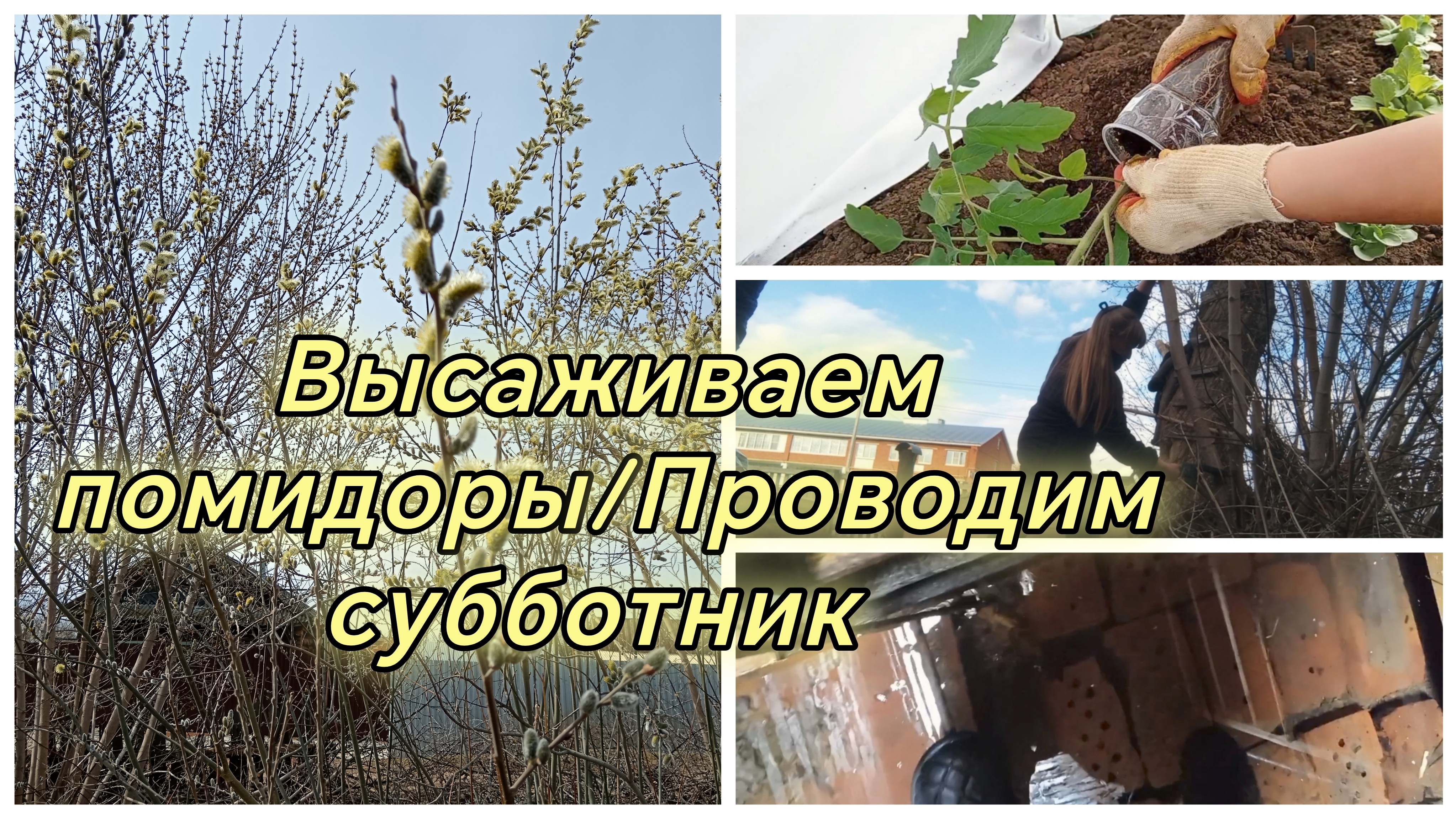 ВЫСАЖИВАЕМ ПОМИДОРЫ/СУББОТНИК/ВОДА В ОВОЩНОЙ ЯМЕ