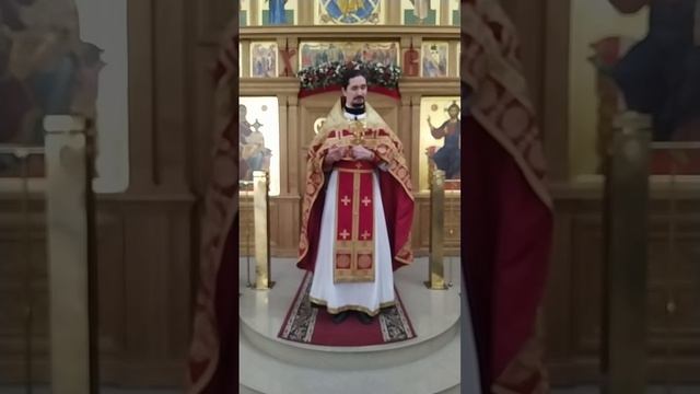 Первое чудо в Кане Галилейской. Уроки этого события. Проповедь о. Вячеслава. 20.4.26