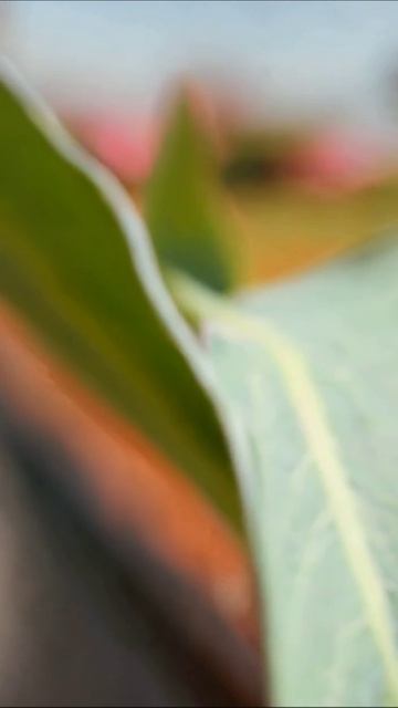 Прогулка по осеннему городу #осень #прогулка #город