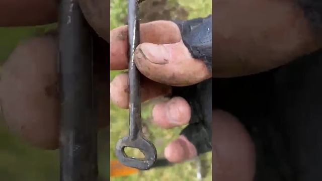 День совместной шляпы)