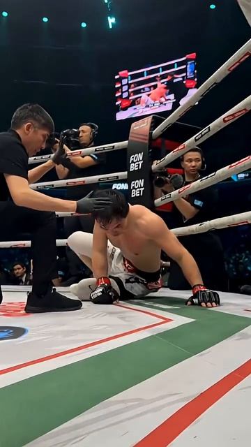 Победа техническим нокаутом