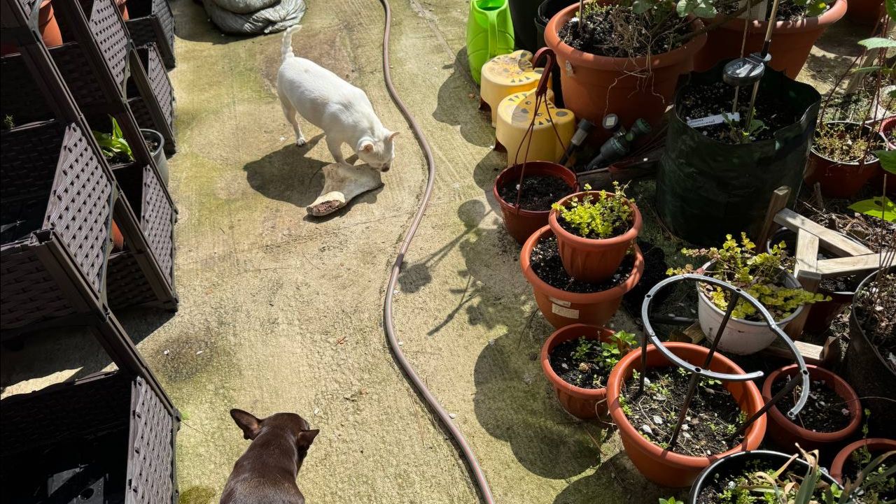 Гуляем и радуемся солнышку, погода отличная.