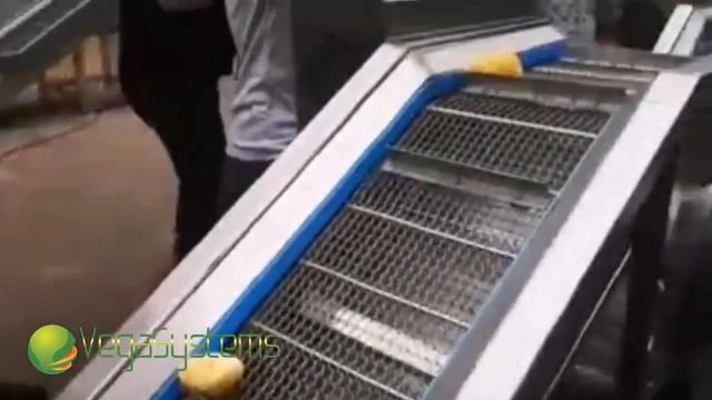 Машина для калибровки картофеля фри Вега/Vega Calibration H2000