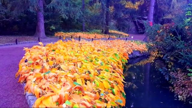 Глаза в глаза - стихи, музыка - Виктор Михнев + SUNO