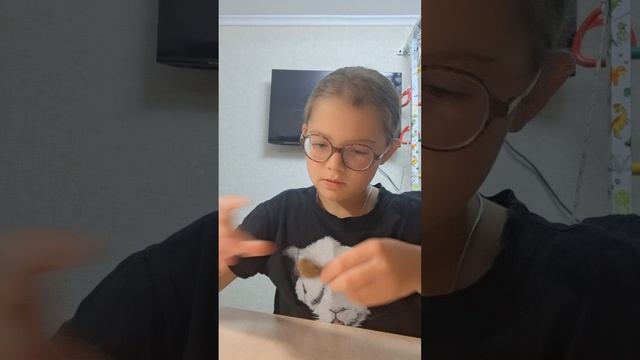 самодельная игрушка для Марса