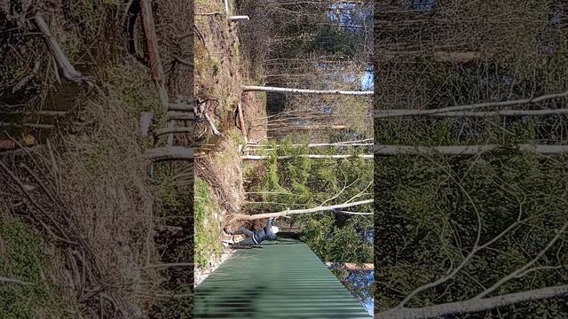 наконец-то мы смогли