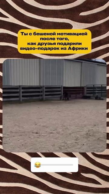 Поздравление из Африки🖤