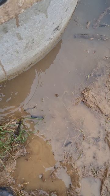 Как работает подвеска на самом деле