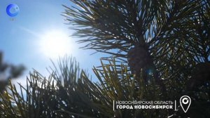 Уход на профилактику (ОТС HD (Новосибирск), 20.04.2026)