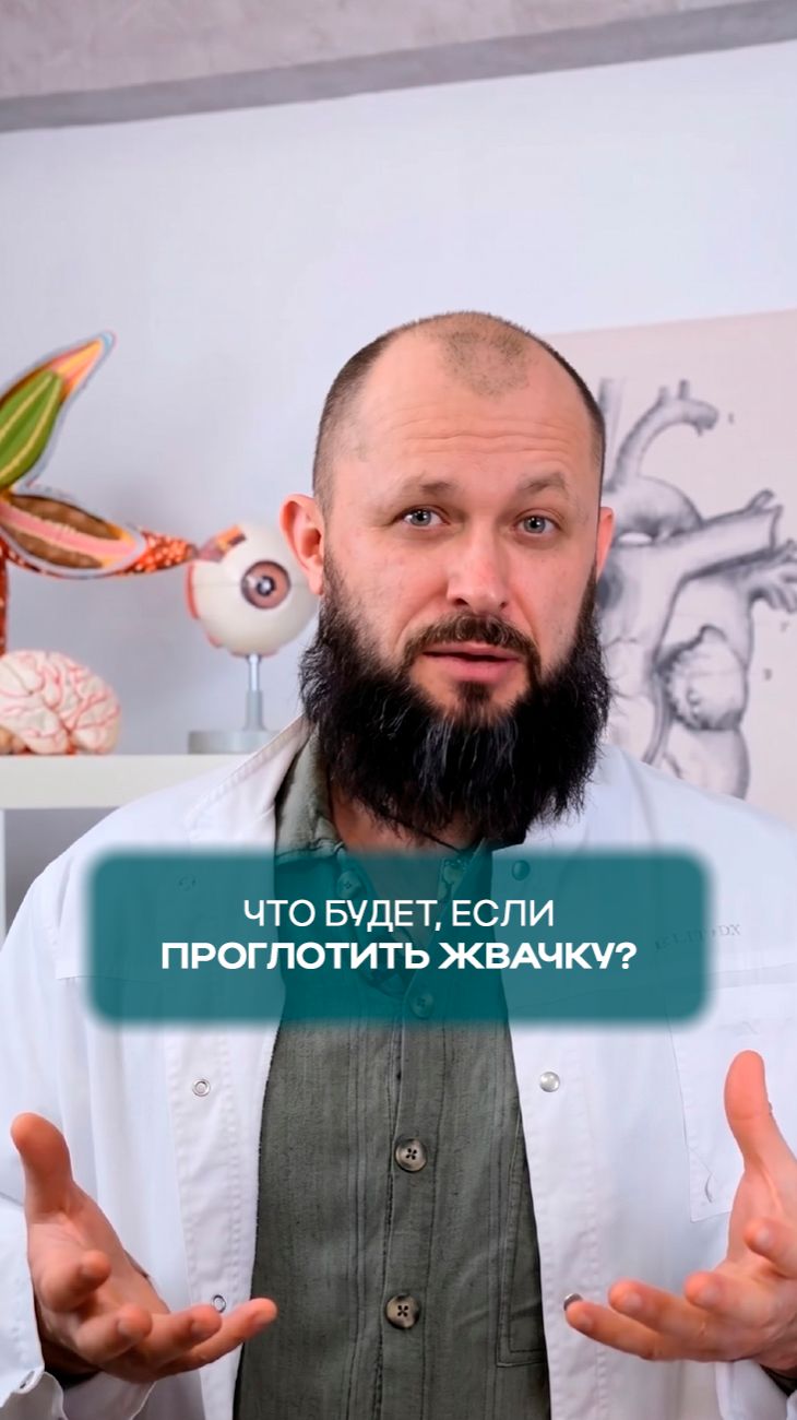 Что будет, если проглотить жвачку?
