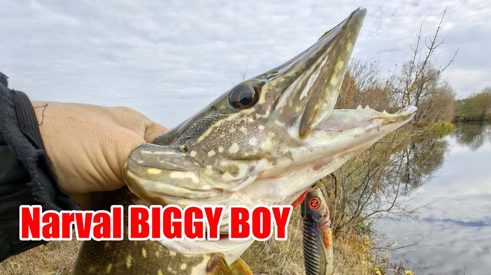 Щука на БИГБЕЙТЫ, упустил 