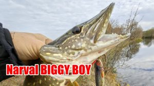 Щука на БИГБЕЙТЫ, упустил "МАМКУ"