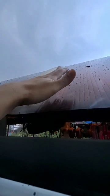 Дождь из нефти идёт в Туапсе — местные делятся кадрами необычных осадков. Чёрная жижа покрыла машины