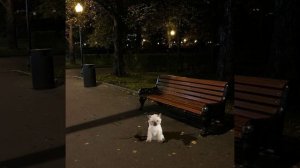 5 часть игры!;D хочу завтра может какое нибудь видео сделать, а не только про Пёрышко продолжения;p