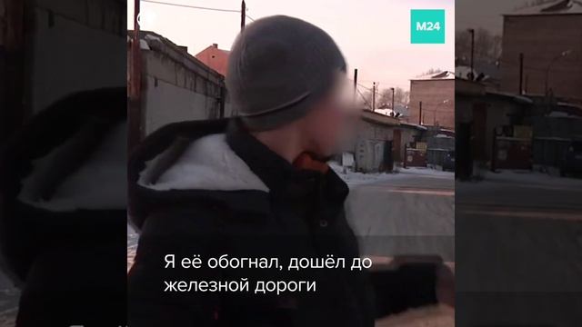 Прохожие спасли девочку от педофила
