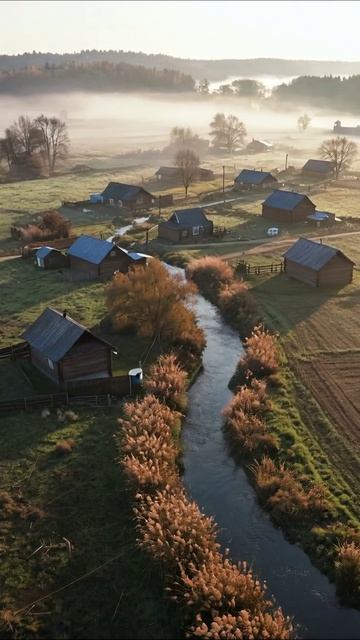 Утро в деревне: закат листвы и мирная река #природа #деревня #пейзаж