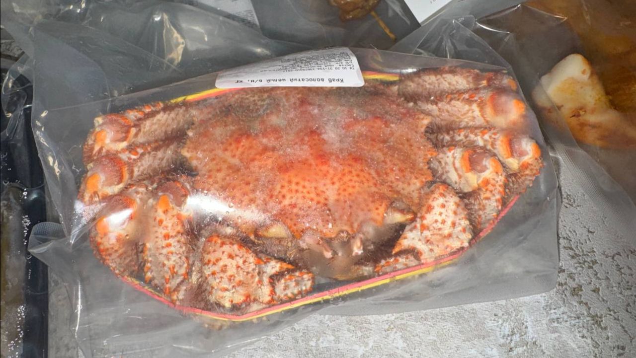 Вот это дети порадовали, удивили, так удивили!