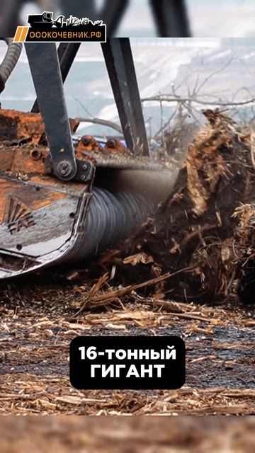 Продуктивной рабочей недели, парни!💪