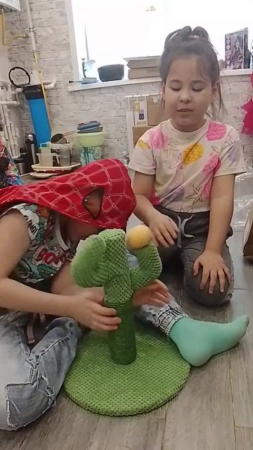 Когтеточка кактус