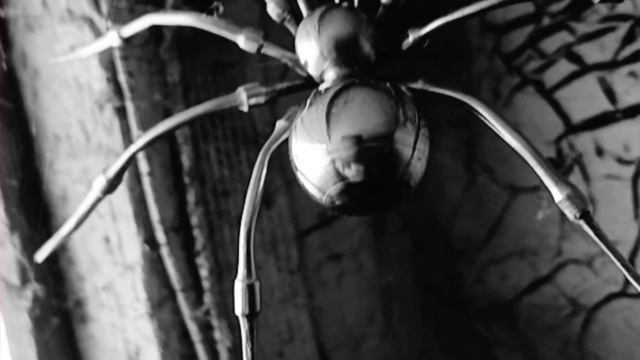 Паук Каракурт из нержавеющей стали