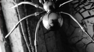 Паук Каракурт из нержавеющей стали