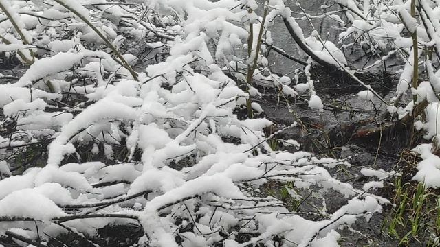 20 Апреля 2026