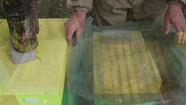 Дотации слабым семьям пчел.