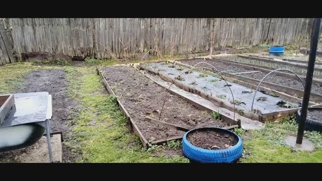 Злые комментаторы. У меня это получилось.  Очень холодно. Что делать, чтобы чеснок не желтел.