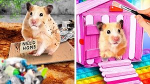 Строим дом - лабиринт для бедного хомяка! Полезные лайфхаки для животных
