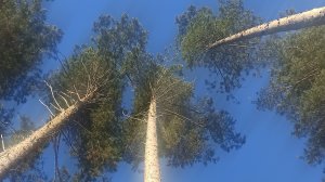 Изменения дома после двухнедельного отсутствия