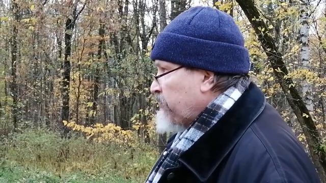 В городе пробуждающегося страха... VID_20221019_161624__пентон__стихи