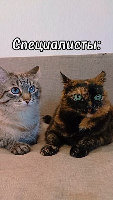 Со специалистами не поспоришь