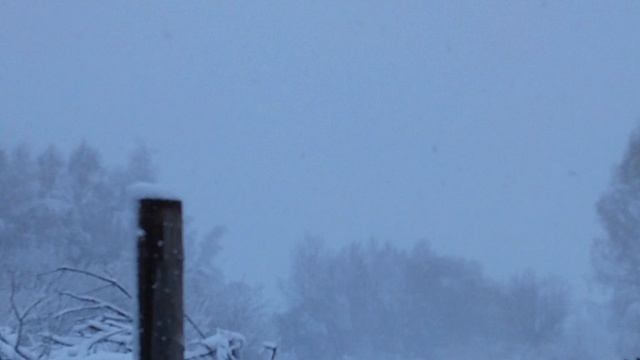 Привет, с Новым годом! И можно свободно ожидать чего угодно...