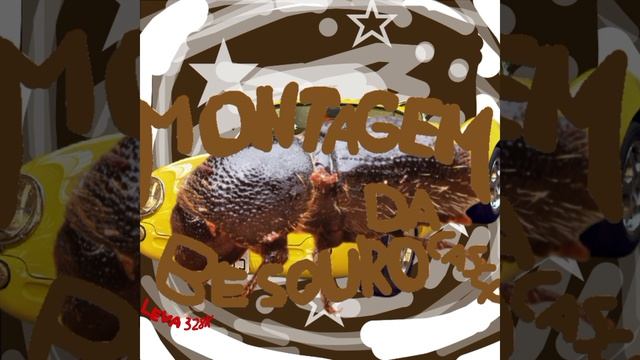 MONTAGEM BESOURO DA CASCA(мой трек)✌️✌️🔥🔥🪳❤️🔥🕶️