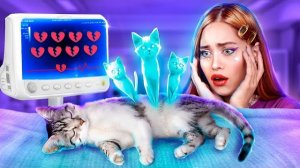 Мы спасли бездомного котенка! Лайфхаки для владельцев животных!