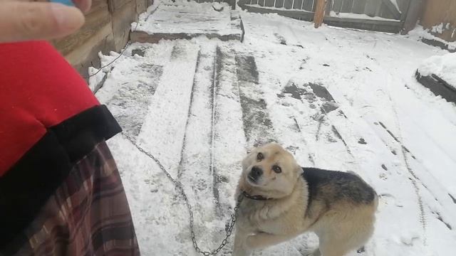 деревння толи зима толи весна,,,