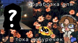 🍓обработка для 🦅🪵тока чебуречек🤎🫐//Toca Boca world