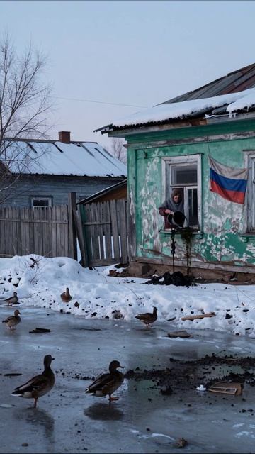 Зимние будни в деревне: жизнь сквозь окна #деревня #зима #настоящее