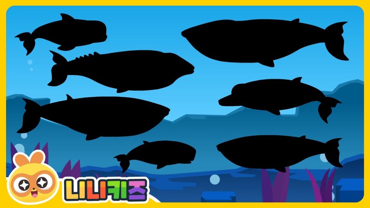 Какой я кит? | Мультик для детей | Обучающие мультики