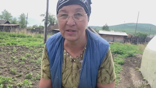 Обрабатываю огород ,топлю баню и гуляю с собакой