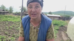 Обрабатываю огород ,топлю баню и гуляю с собакой