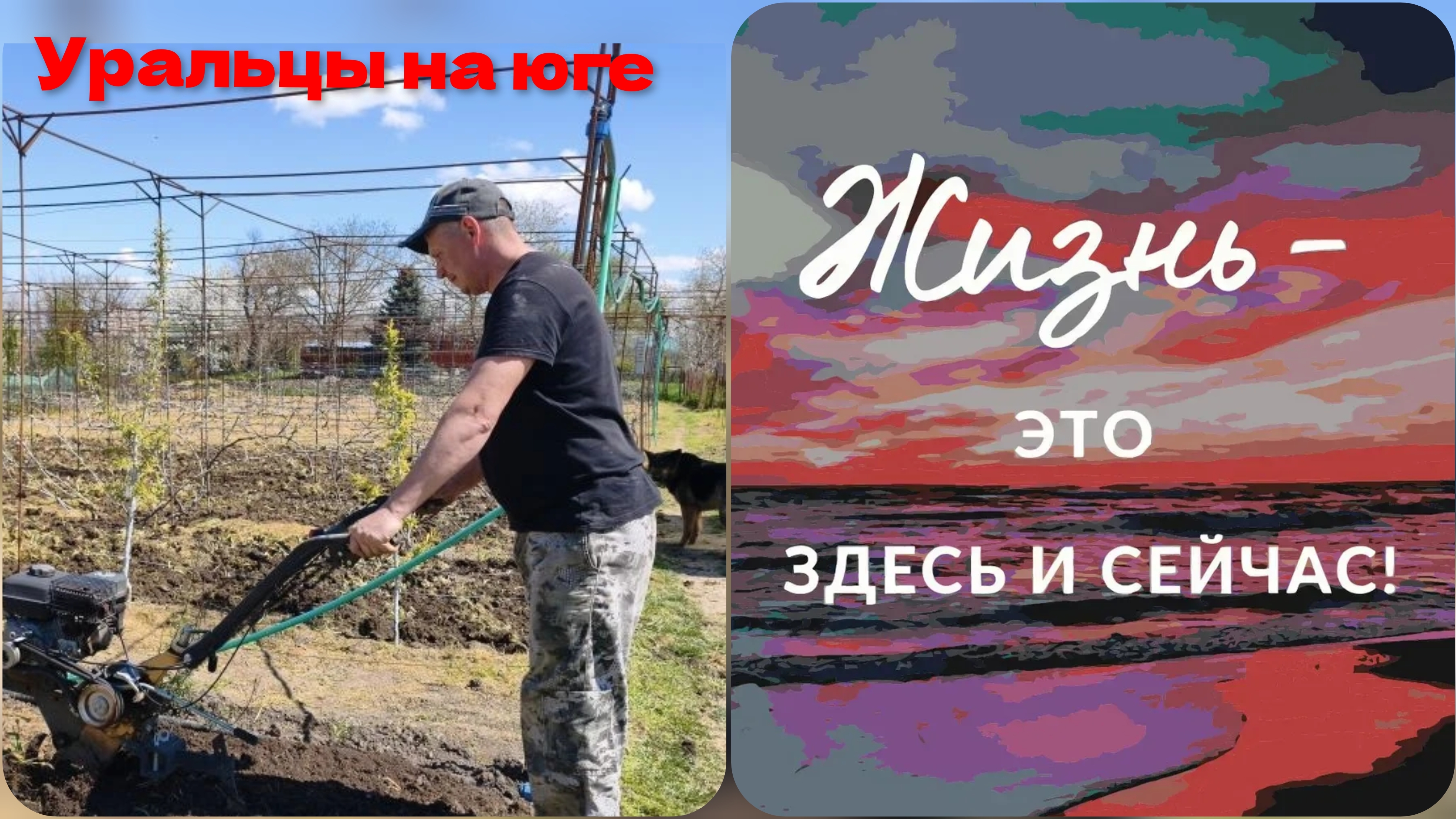 Ползунки.Любовница.Весело живём!