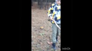 едем в лес .