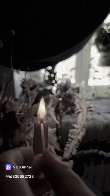 Vkclips_20260420085031